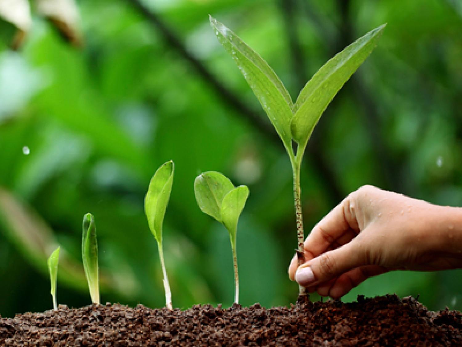 World Environment Day